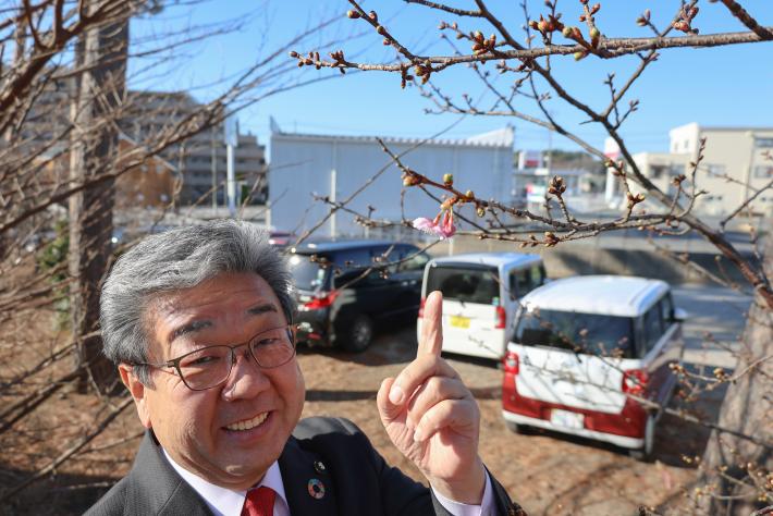 男性が開花している桜の花を指をさし、笑顔の写真