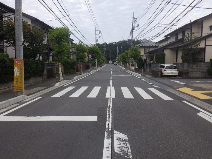 道路の中央の白線がかすれてひび割れている。画像の両側に住宅があり、中央に横断歩道がある