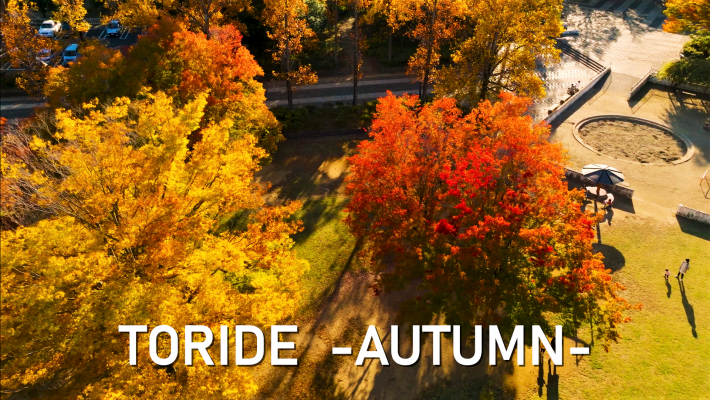 「TORIDE -AUTUMN-」動画サムネイル画像