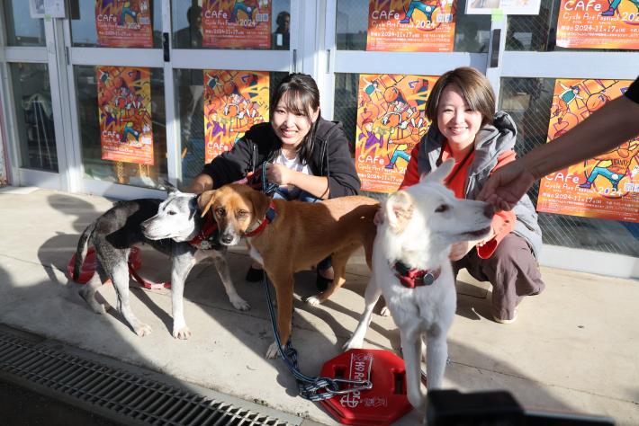 犬と触れ合うさくらまやさんと高木真備さん