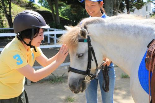 馬をなでて何かを語り掛ける雰囲気の女性。