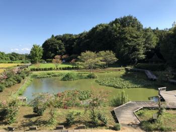 管理棟のある高台から望む公園の全景