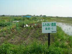 桑原のふれあい農園の画像。手前右側に「ふれあい農園桑原1」の看板が見えている。