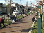 茶色の歩道の両側に道なりにある花壇の清掃を5人がしている写真。