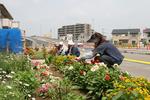 道路脇の花壇で3人の人が手入れをしている写真。色とりどりの花が植えられている。