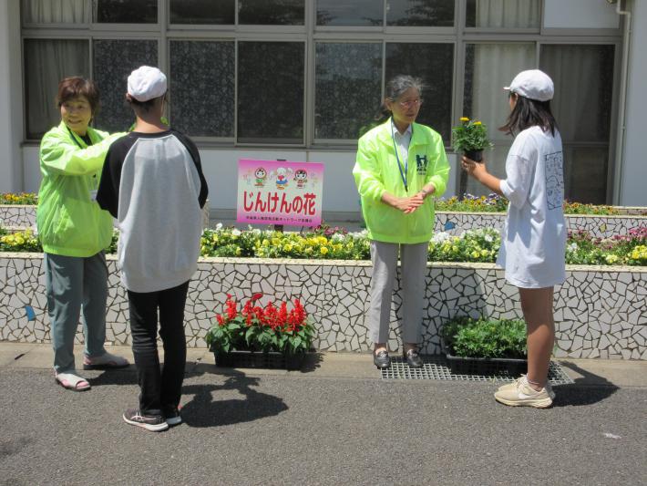 サルビアとマリーゴールドの花苗を渡しました。