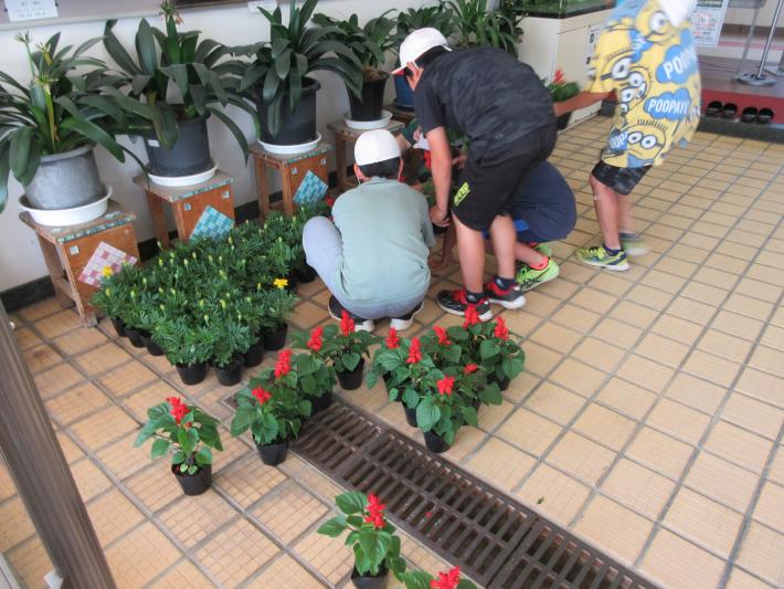 戸頭小学校花苗の整理をしてくれています